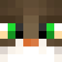 Image for LynxMC Minecraft Player