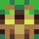 Image for MCarson Minecraft Player