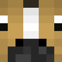 Image for MHF_Horse Minecraft Player