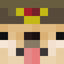 Image for MasterOfDoge Minecraft Player