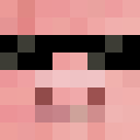 Image for Masterpig1 Minecraft Player