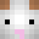 Image for McBunBun Minecraft Player