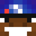 Image for Meerschwein Minecraft Player