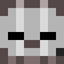 Image for MemeDreamTeam Minecraft Player