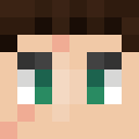 Image for MichaelSGames Minecraft Player