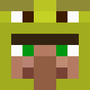 Image for Mikasaa Minecraft Player