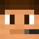 Image for Minecraft_Bear Minecraft Player