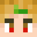 Image for Minicario Minecraft Player