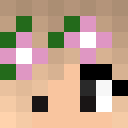 Image for Missie99 Minecraft Player