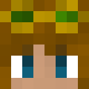 Image for Mitche11 Minecraft Player