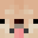 Image for MlgdogEs Minecraft Player