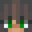 Image for Momokoh Minecraft Player