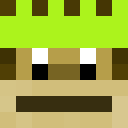 Image for Monkeymaster5 Minecraft Player