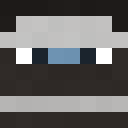 Image for Moongii Minecraft Player