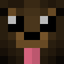 Image for MoronXD Minecraft Player