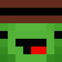 Image for MrTurtleGaming Minecraft Player