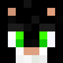 Image for Mr_Kot Minecraft Player