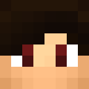 Image for Mr_Palikka Minecraft Player