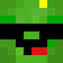 Image for N_turtle Minecraft Player