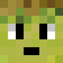 Image for Naital Minecraft Player