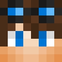 Image for Najimi_ Minecraft Player