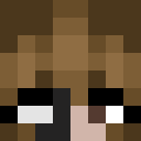 Image for NaniMo Minecraft Player