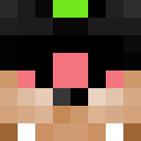 Image for New_Villager Minecraft Player