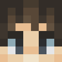 Image for NiceHype Minecraft Player