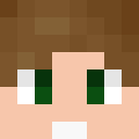 Image for Nicl_ Minecraft Player