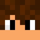 Image for NicoPlayzMc Minecraft Player