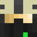 Image for Nico_Nitro Minecraft Player