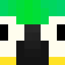 Image for Niels__ Minecraft Player