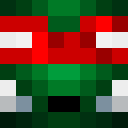 Image for NiiTz_ Minecraft Player