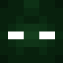 Image for Niklas11000 Minecraft Player