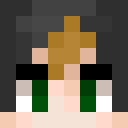 Image for NoHacksJustSkiII Minecraft Player