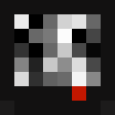 Image for NoSignal__ Minecraft Player