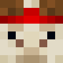 Image for NoahTV Minecraft Player