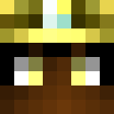 Image for NotGold Minecraft Player