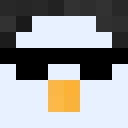 Image for NotPenguin_ Minecraft Player