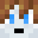 Image for NotTiger1 Minecraft Player