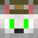 Image for NotYourFox Minecraft Player