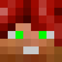 Image for Nqrci Minecraft Player