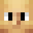 Image for Numerador Minecraft Player