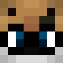 Image for OpaPvP Minecraft Player