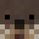 Image for Otturs Minecraft Player