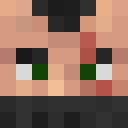 Image for P0LTER Minecraft Player