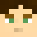 Image for P1n34pp13 Minecraft Player