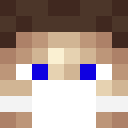 Image for P1sto Minecraft Player