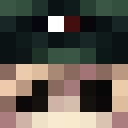 Image for P300 Minecraft Player