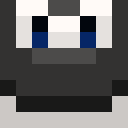 Image for PAFC Minecraft Player